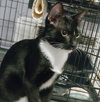 Mischief - Photo 3