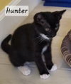 Hunter - Photo 1