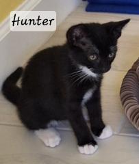 Hunter