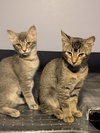 Terry - Photo 2