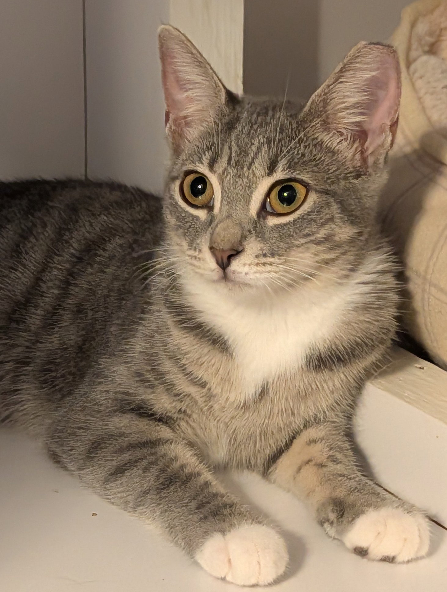 Kimi, photo 3