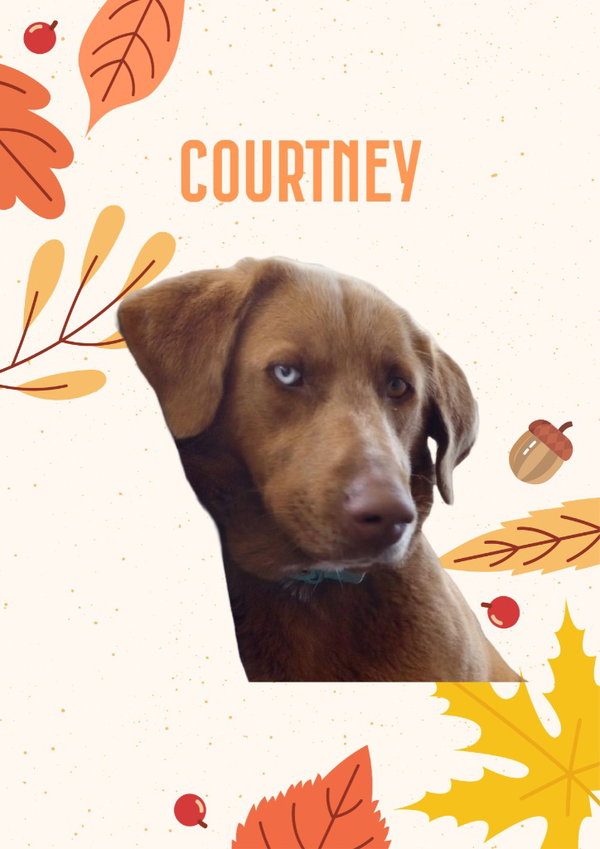 Courtney