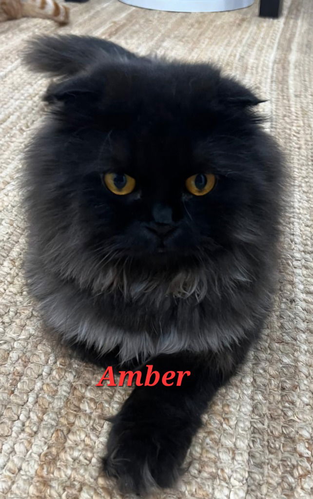 Amber