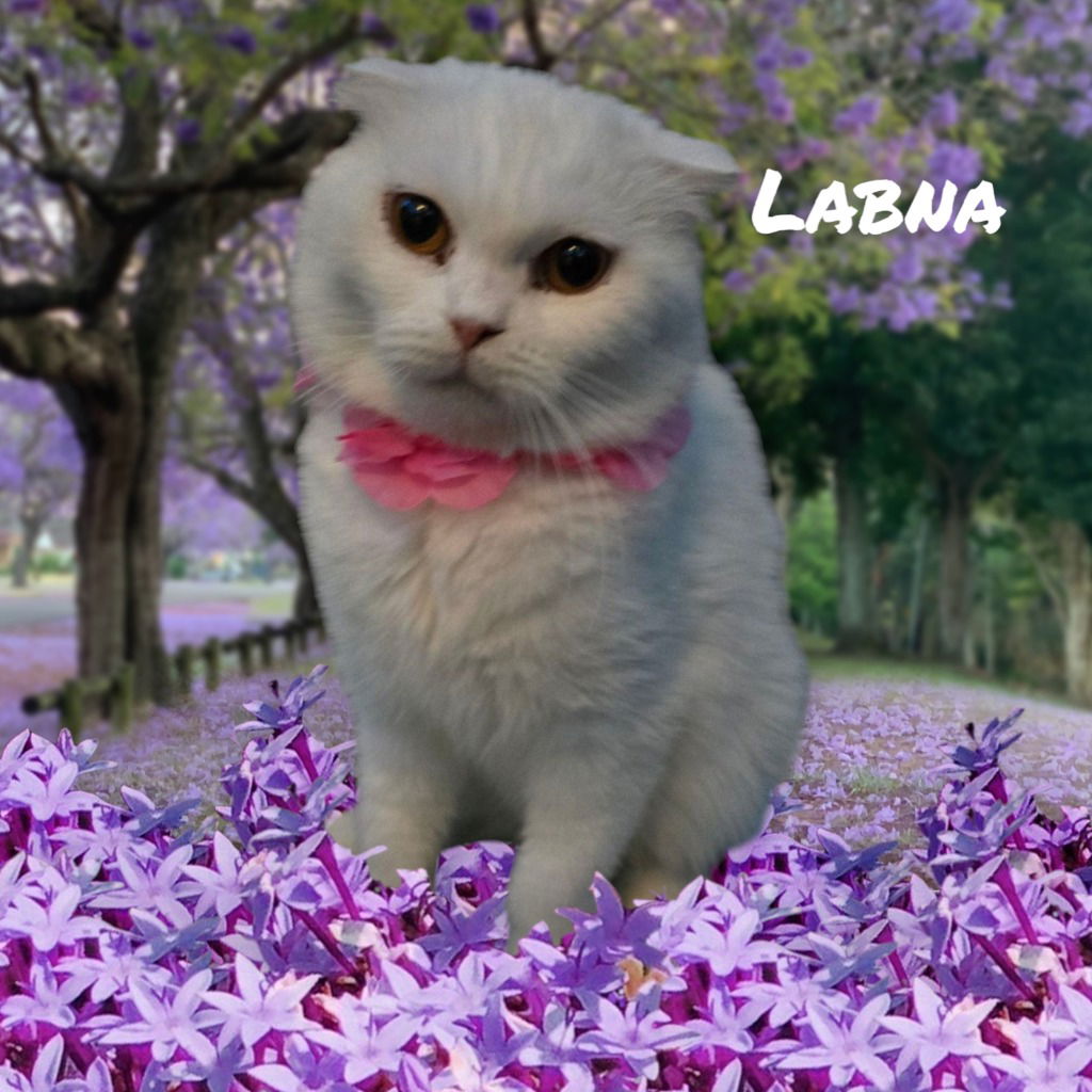 Labna