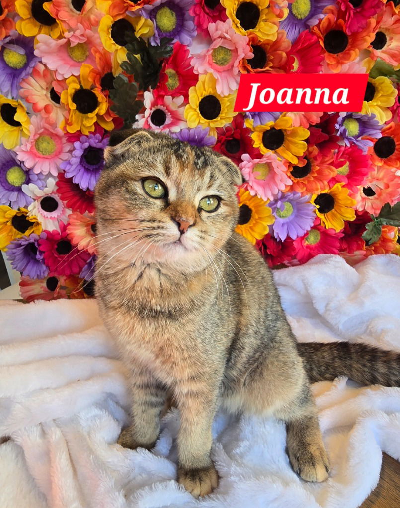 Jonna