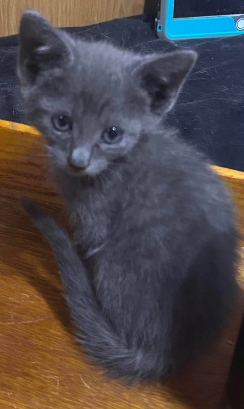 Photo 2 of Stormy