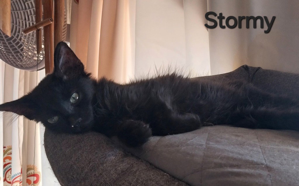 Stormy Cloud