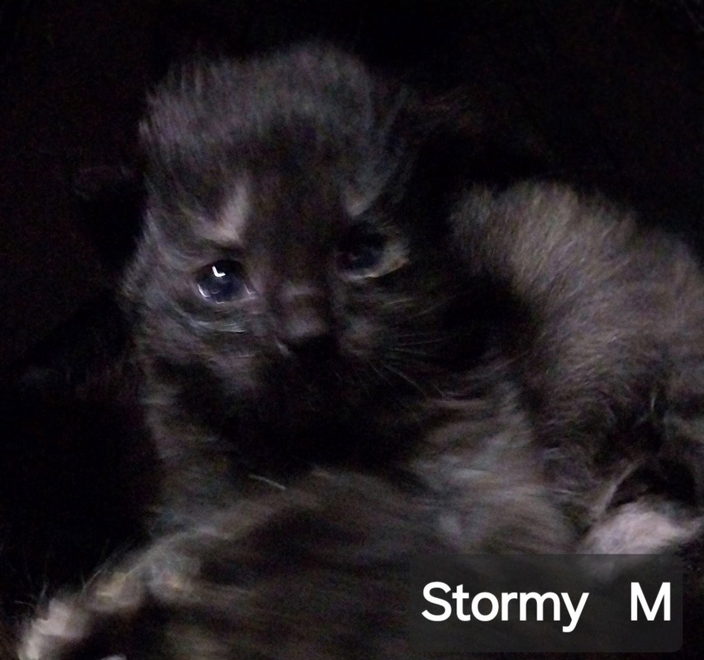 Stormy Cloud, photo 2