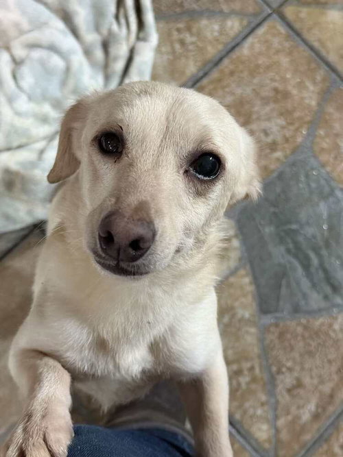 Tina