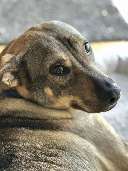 Gabby