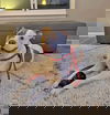 Ghost-COURTESY