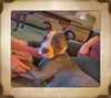 Penny is Grateful & Cuddly - COURTESY - Adoption P