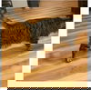 Twister~ Courtesy