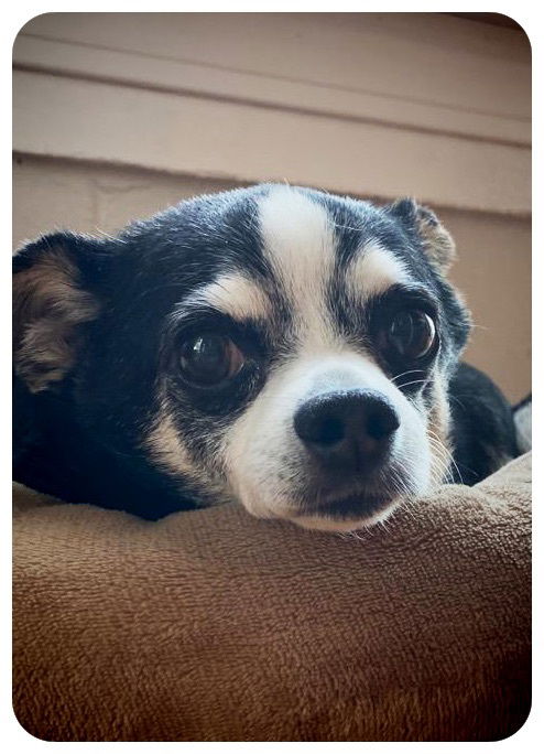 Charlie