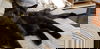 Grayson and Bagheera are Buddies-COURTESY