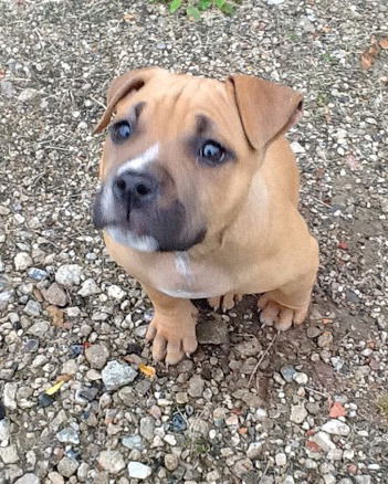 Baby Cabela