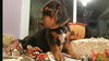 Baby Arrow-ADOPTED