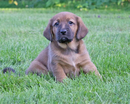 Baby Agatha-ADOPTED