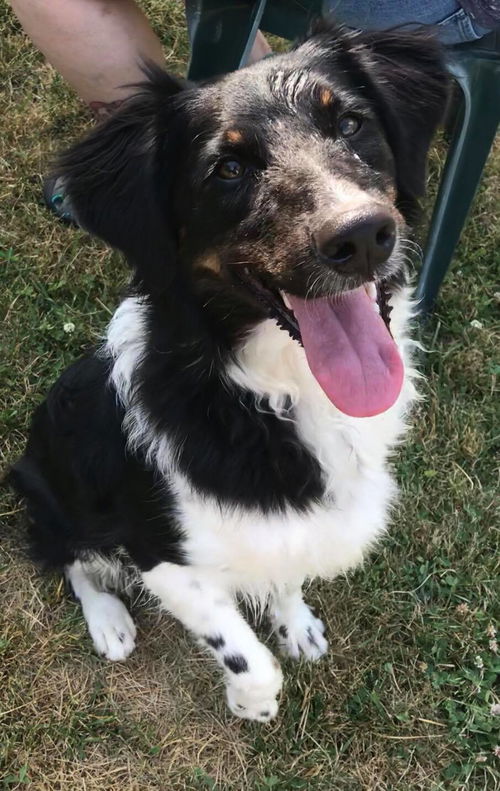 Baby Cubby-ADOPTED