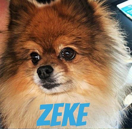 Zeke