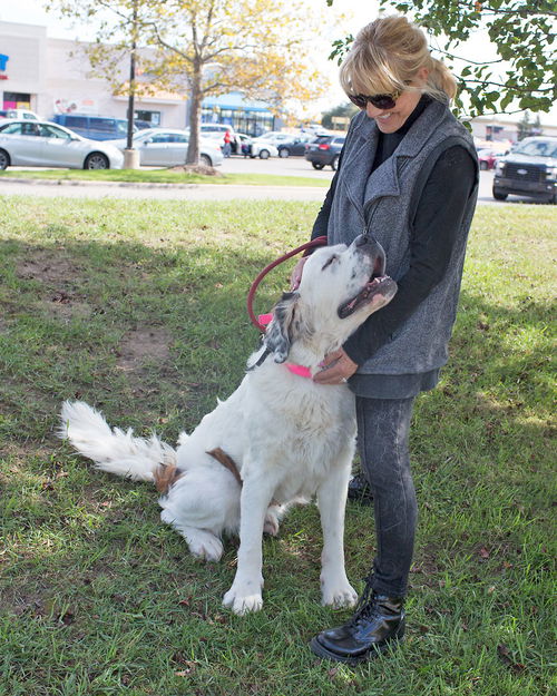 Dumpling-ADOPTED
