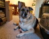 Sophia - ADOPTED 8-26