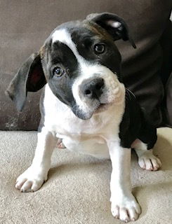 Baby Celina-ADOPTED