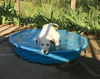 Baby Alaska-ADOPTED