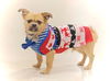 Chewy-ADOPTED