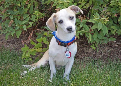 Baby Clea-ADOPTED