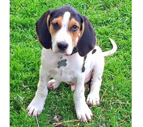 Baby Conway-ADOPTED