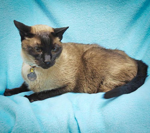Duncan and Bentley-ADOPTED