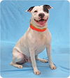 Duncan-ADOPTED