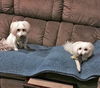 Selena and Baylee-ADOPTED