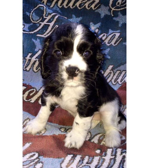 Baby Betsy-ADOPTED