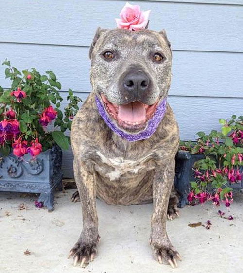 Skylar-ADOPTED
