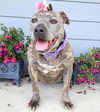 Skylar-ADOPTED