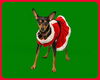 Lily-ADOPTED