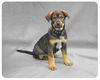 Baby Carson-ADOPTED