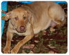 Baby Camelia-ADOPTED