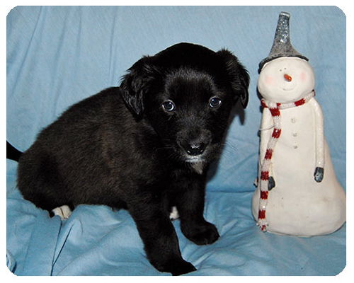Baby Ana-ADOPTED