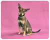 Baby Ariana-ADOPTED