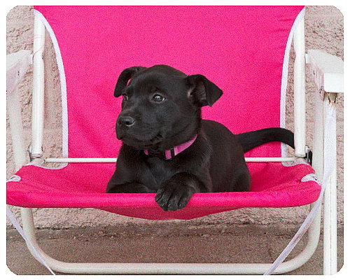 Baby Meela
