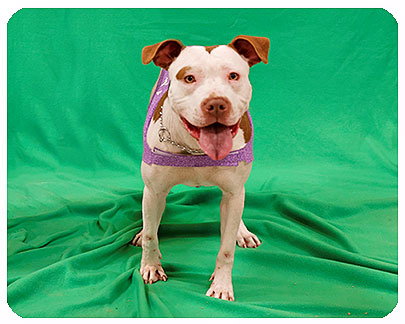 Becky-ADOPTED