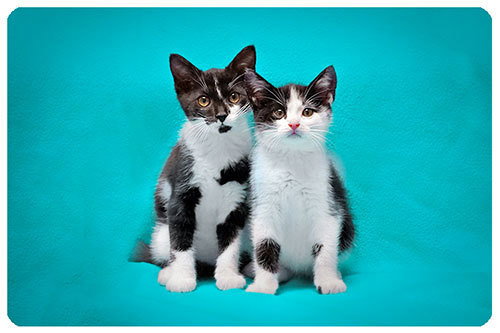 Baby Simon & Summer