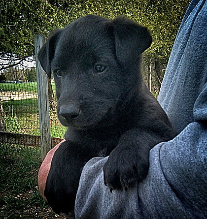 Baby Ryder