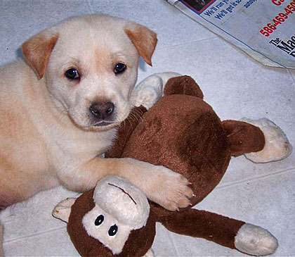 Baby Sammy