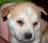 Baby Galileo