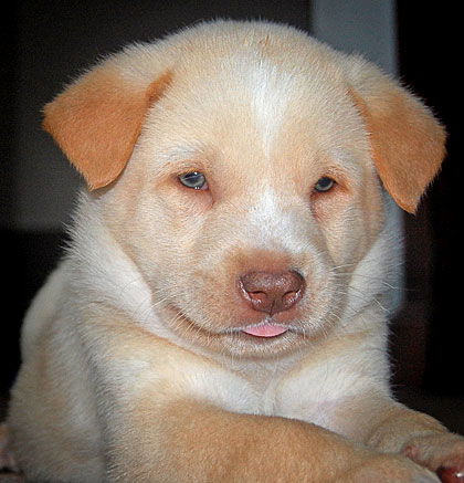 Baby Astro