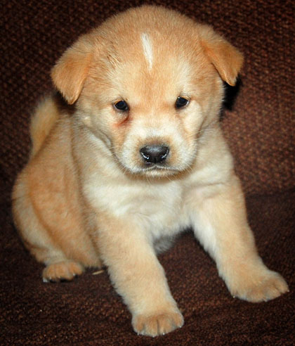 Baby Luna
